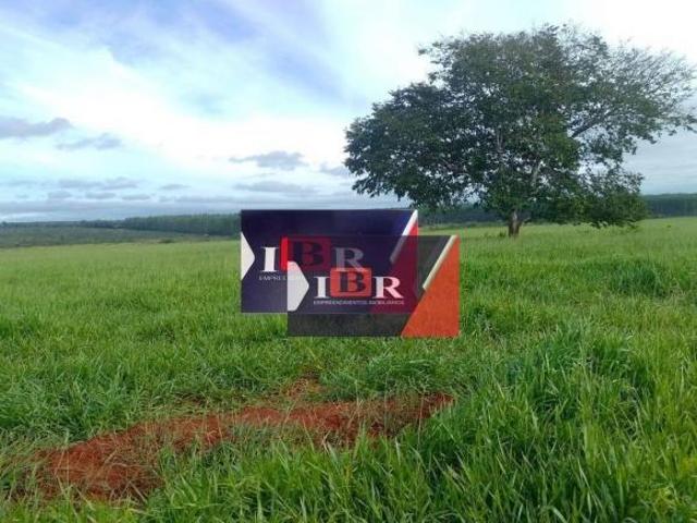 Sítio e chácara venda em Região Geográfica Imediata de Campo Grande, Dois Irmãos do Buriti