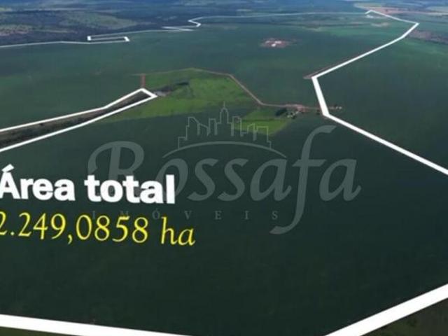 Sítio e chácara venda em Região Geográfica Imediata de Jataí-Mineiros, Doverlândia