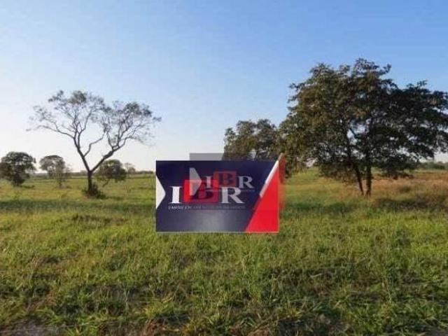 Sítio e chácara venda em Região Geográfica Imediata de Rondonópolis, Alto Araguaia
