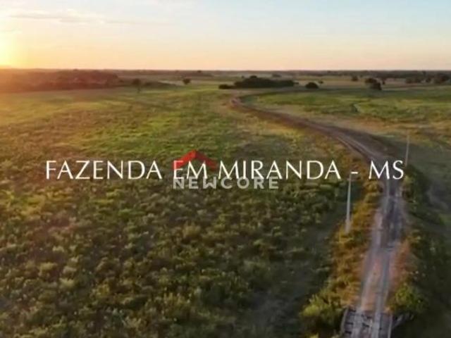 Sitio venda em Miranda, Miranda