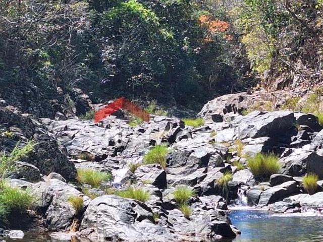 Sítio e chácara venda em Região Geográfica Imediata de Flores de Goiás, Alto Paraíso de Goiás