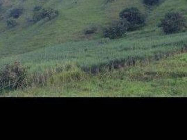 Sítio e chácara venda em Região Geográfica Imediata de Itabira, Ferros