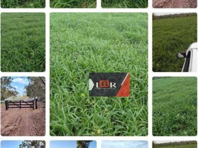 Sítio e chácara venda em Região Geográfica Imediata de Coxim, Mato Grosso do Sul