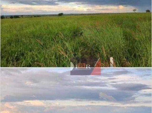 Sítio e chácara venda em Região Geográfica Imediata de Paranaíba - Chapadão do Sul - Cassilândia, Chapadão do Sul