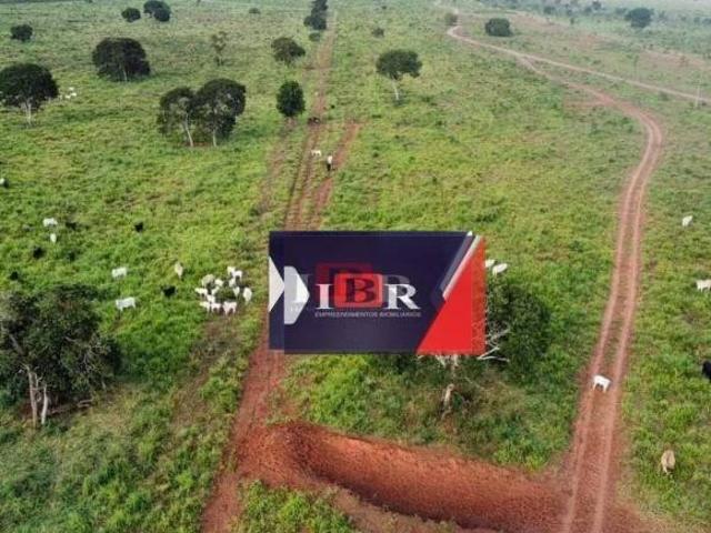 Sítio e chácara venda em Região Geográfica Imediata de Coxim, Mato Grosso do Sul