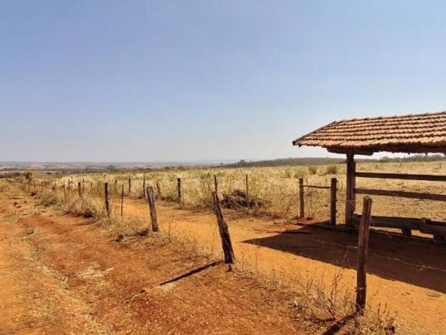 Sítio e chácara venda em Região Geográfica Imediata de Montes Claros, Francisco Sá