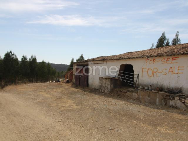 Quinta venda em São Bartolomeu De Messines, Faro