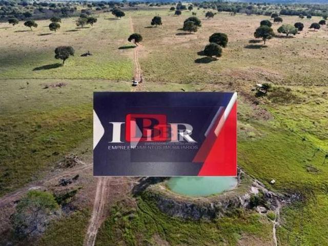Sítio e chácara venda em Região Geográfica Imediata de Barra do Garças, General Carneiro