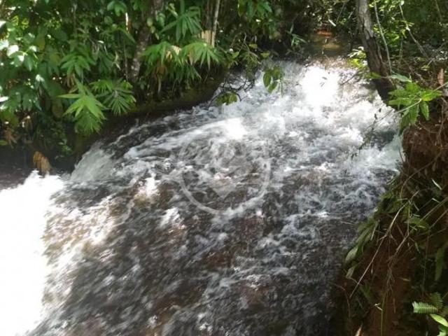 Sítio e chácara venda em Região Geográfica Imediata de Posse-Campos Belos, Mambaí