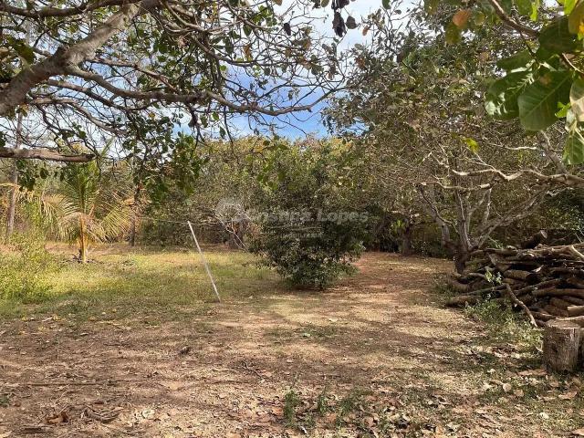 Fazenda venda em Vila Santa Joana Darc, Teresina
