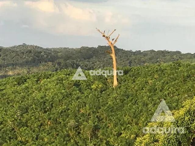 Fazenda venda em Região Imediata de Registro, Iguape