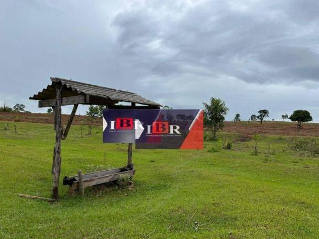 Sítio e chácara venda em Região Geográfica Imediata de Paranaíba - Chapadão do Sul - Cassilândia, Inocência