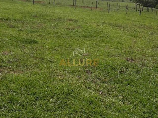Sítio e chácara venda em Região Geográfica Imediata de Paranaíba - Chapadão do Sul - Cassilândia, Inocência