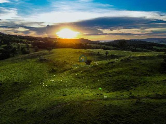 Sítio e chácara venda em Região Geográfica Imediata de Inhumas - Itaberaí - Anicuns, Itaberaí