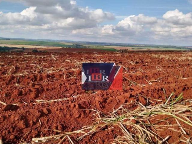 Sítio e chácara venda em Bernardino de Campos