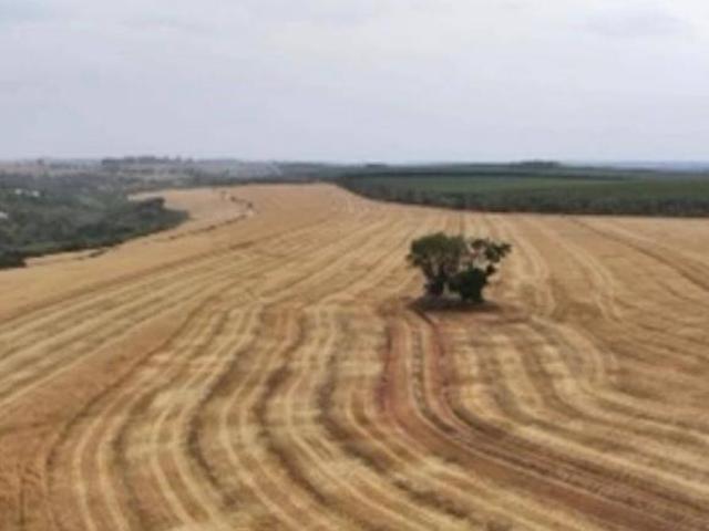 Sítio e chácara venda em Região Imediata de Sorocaba, Região Metropolitana de Sorocaba
