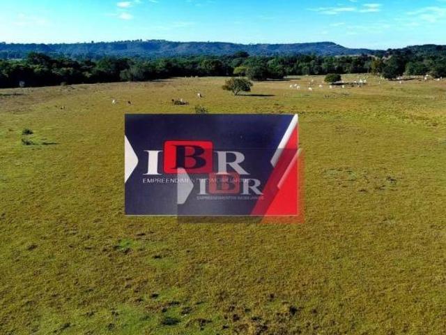 Sítio e chácara venda em Região Geográfica Imediata de Rondonópolis, Itiquira