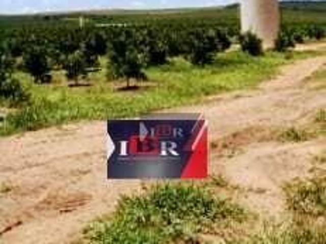 Sítio e chácara venda em Região Imediata de São Carlos, Itirapina