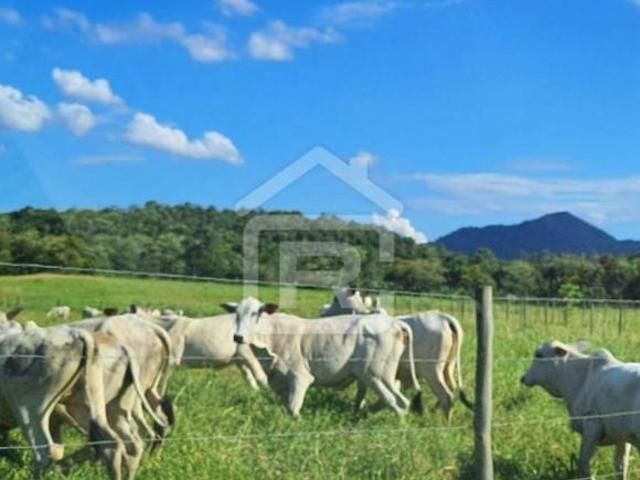 Sítio e chácara venda em Região Imediata de Registro, Jacupiranga