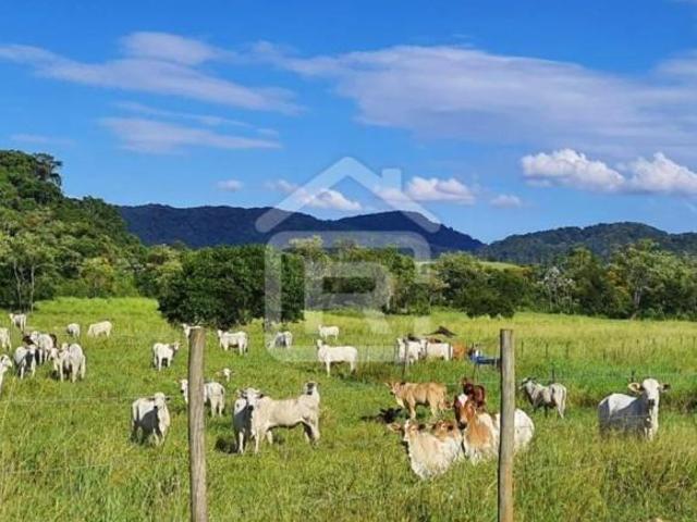 Sítio e chácara venda em Região Imediata de Registro, Jacupiranga