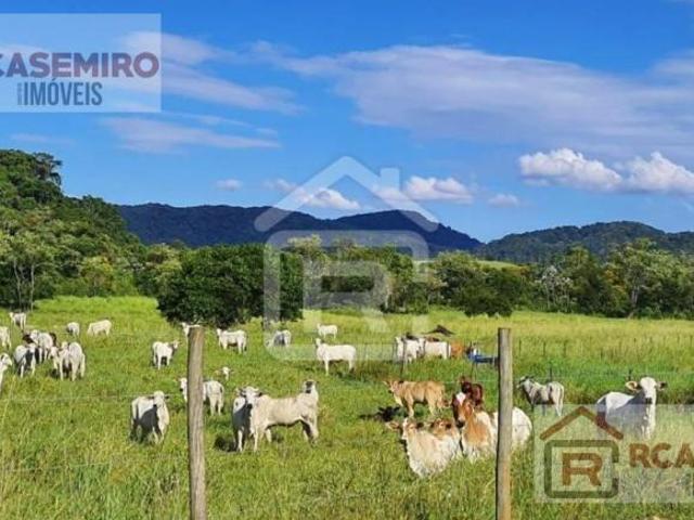Sítio e chácara venda em Parque Monteiro Soares, São Paulo