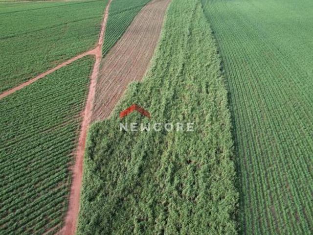 Sítio e chácara venda em Região Geográfica Imediata de Londrina, Jaguapita