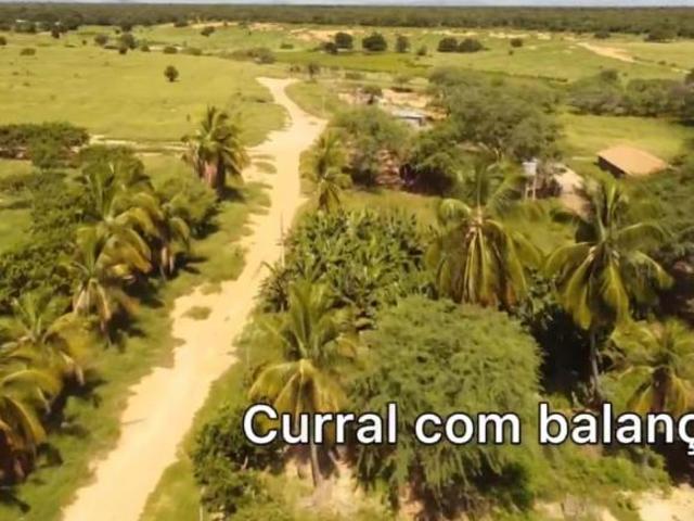 Sítio e chácara venda em Região Geográfica Imediata de Janaúba, Janaúba