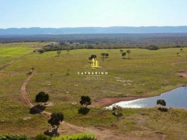 Sítio e chácara venda em Região Geográfica Imediata de Cuiabá, Jangada
