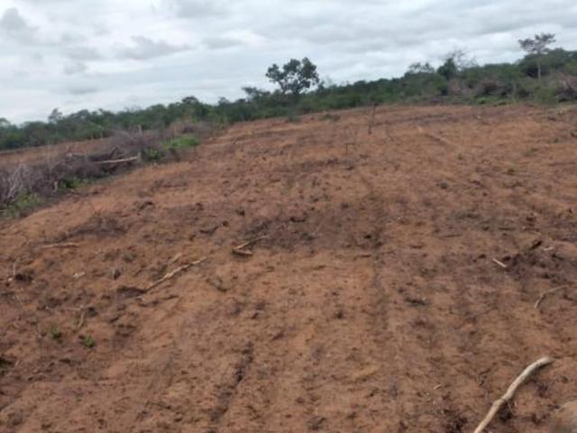 Sítio e chácara venda em Região Geográfica Imediata de Januária, Januária
