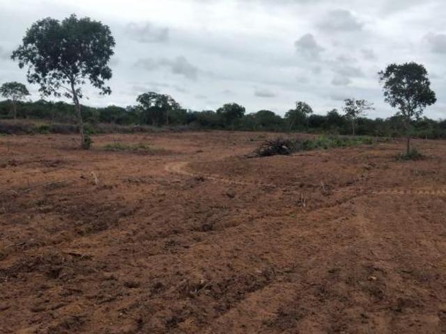 Sítio e chácara venda em Região Geográfica Imediata de Januária, Januária