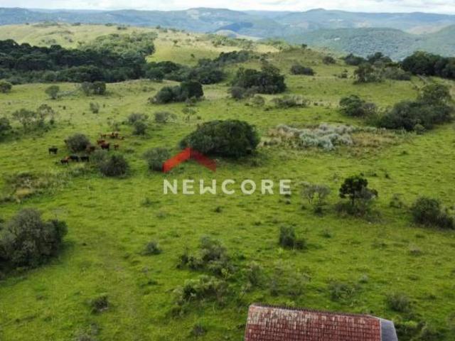 Sítio e chácara venda em Região Geográfica Imediata de Vacaria, Jaquirana