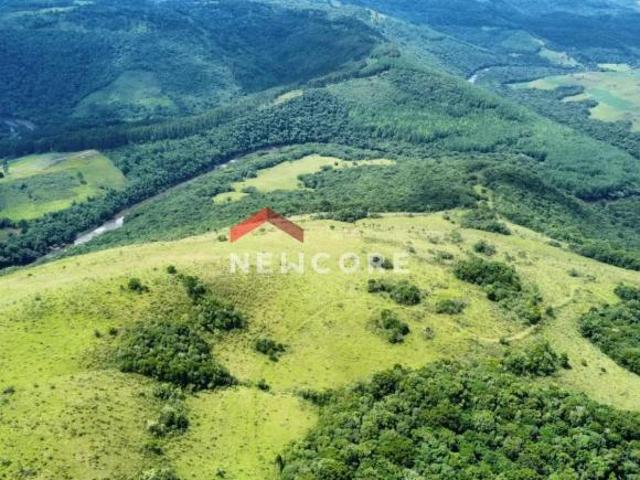 Sítio e chácara venda em Região Geográfica Imediata de Vacaria, Jaquirana