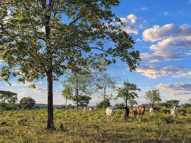 Sítio e chácara venda em Região Geográfica Imediata de Jataí-Mineiros, Jataí