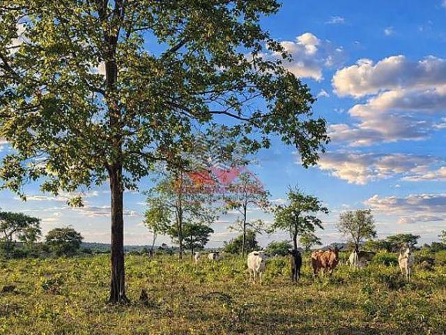 Sítio e chácara venda em Região Geográfica Imediata de Jataí-Mineiros, Jataí