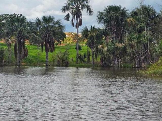 Sítio e chácara venda em João Pinheiro