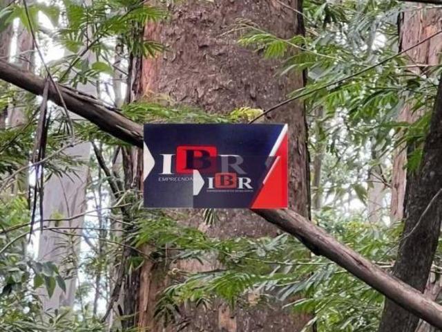 Sítio e chácara venda em Região Geográfica Imediata de Juiz de Fora, Juiz de Fora