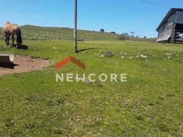 Sítio e chácara venda em Região Geográfica Imediata de Caxias do Sul, São Francisco de Paula