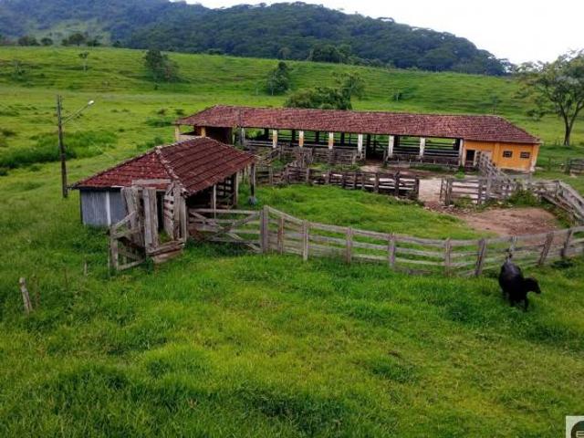 Sítio e chácara venda em Região Imediata de Guaratinguetá, Região Metropolitana do Vale do Paraíba e Litoral Norte