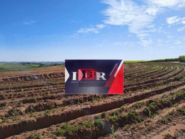 Sítio e chácara venda em Região Imediata de Birigui-Penápolis, Luiziânia