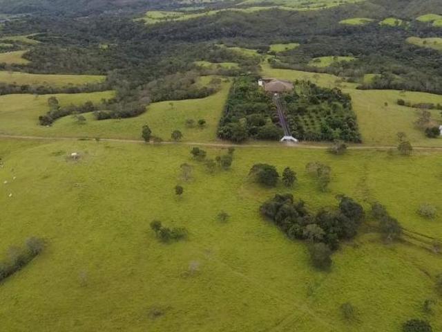 Sítio e chácara venda em Região Geográfica Imediata de Luziânia, Região Integrada de Desenvolvimento do Distrito Federal e Entorno