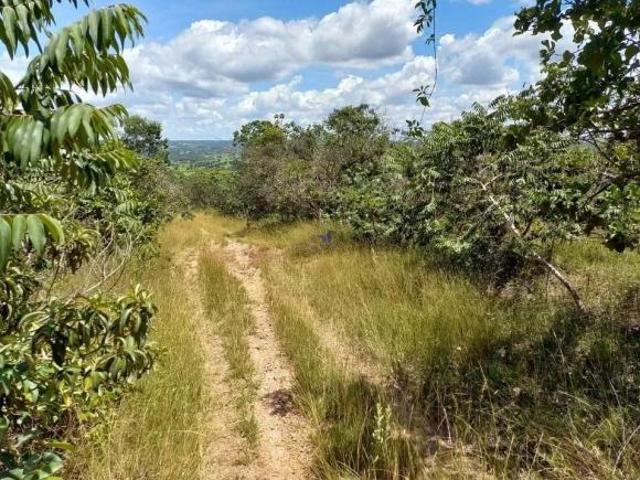 Sítio e chácara venda em Região Geográfica Imediata de Luziânia, Região Integrada de Desenvolvimento do Distrito Federal e Entorno