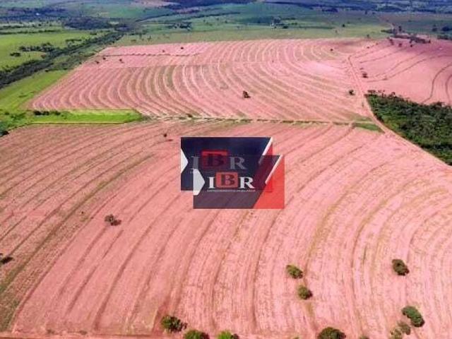 Sítio e chácara venda em Região Imediata de Fernandópolis, Mira Estrela