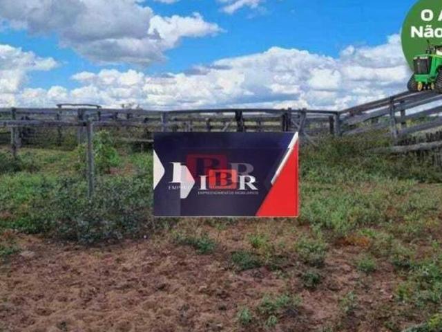 Sítio e chácara venda em Região Geográfica Imediata de Posse-Campos Belos, Mambaí