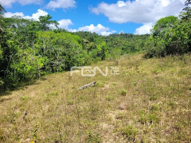 Fazenda venda em Mata de São João, Região Geográfica Intermediária de Salvador