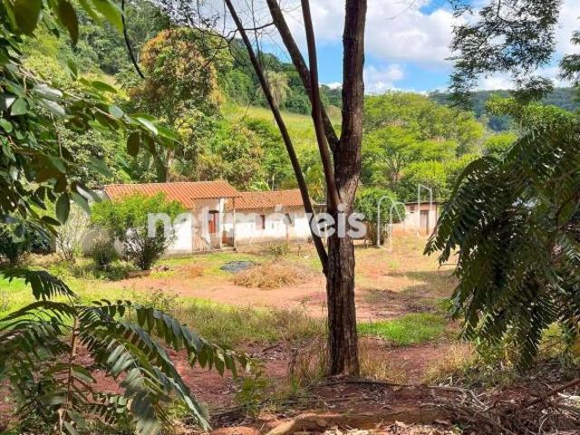 Sítio e chácara venda em Região Geográfica Imediata de Viçosa, Pedra do Anta