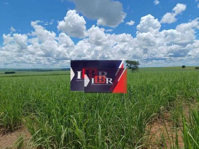 Sítio e chácara venda em Região Imediata de Andradina, Mirandópolis