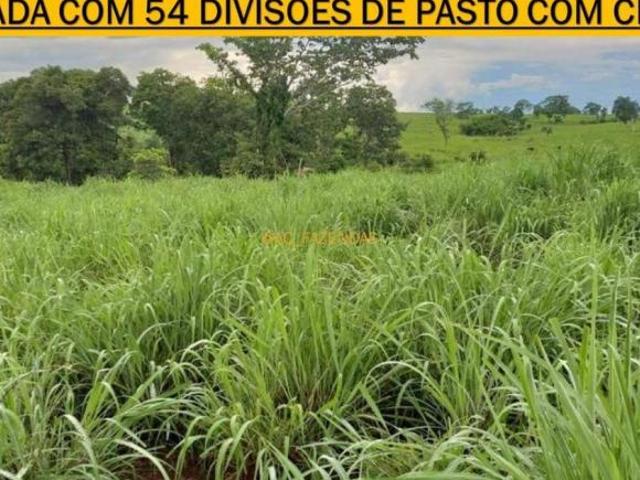 Sítio e chácara venda em Região Geográfica Imediata de Posse-Campos Belos, Monte Alegre de Goiás