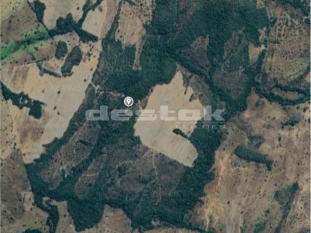 Sítio e chácara venda em Região Geográfica Imediata de Porangatu, Montividiu do Norte