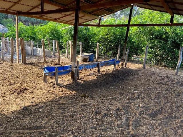 Fazenda venda em Caxias, Região Geográfica Intermediária de Caxias