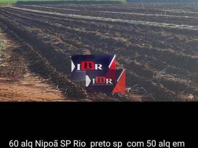 Sítio e chácara venda em Região Imediata de São José do Rio Preto, Região Metropolitana de São José do Rio Preto